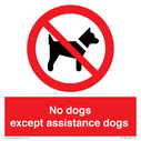 no-dogs-except-assistance-dogs~